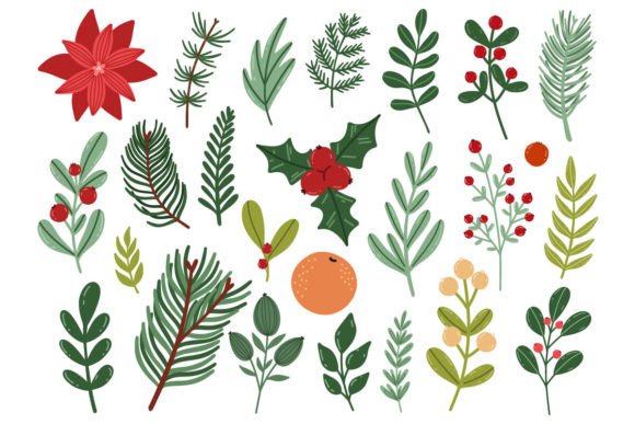Christmas Botanical Elements Review: Premium Illustrations for Holiday Branding