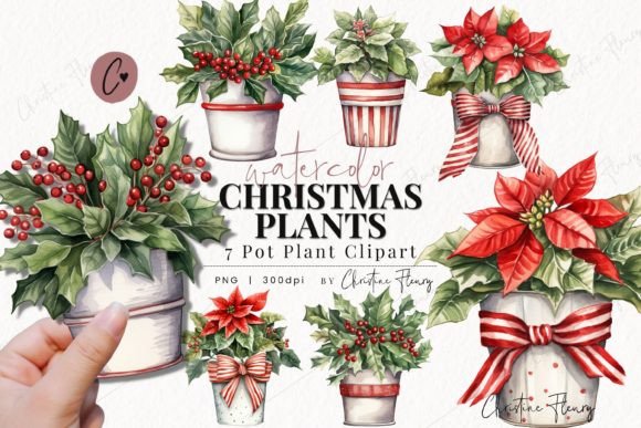 Watercolor Christmas Plant Clipart for Modern Illustrations